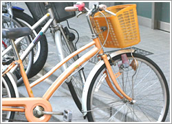 ���]�Ԃ̌��̃g���u��