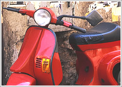 �o�C�N�E���t�E�X�N�[�^�[�̌��̃g���u��